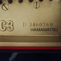 Används, Yamaha, C3