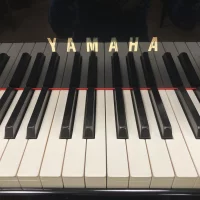 Gebraucht, Yamaha, C3