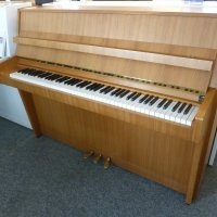 Usado, Schimmel, 108