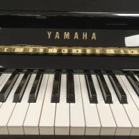 Used, Yamaha, P2