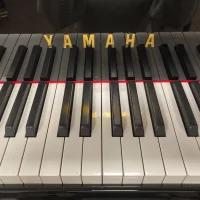 Gebraucht, Yamaha, C1X