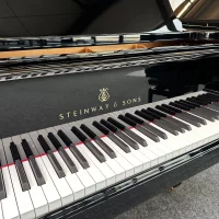 Steinway & Sons Flügel, Modell B-211