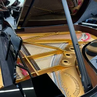 Steinway & Sons Flügel, Modell B-211