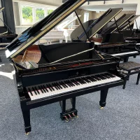 Steinway & Sons Flügel, Modell M-170