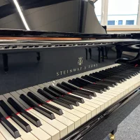 Steinway & Sons Flügel, Modell S-155