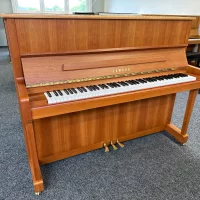 Yamaha Klavier, Mod. P121