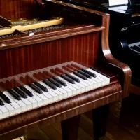 Usado, Bosendorfer, 170