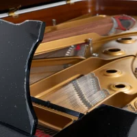 Används, Steinway & Sons, C-227