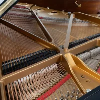 Används, Steinway & Sons, C-227