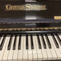 Usado, Grotrian Steinweg, 125