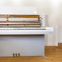 Gebruikte, C. Bechstein, A 114