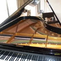 Occasion, C. Bechstein, B 212