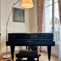 Används, Bösendorfer, 170