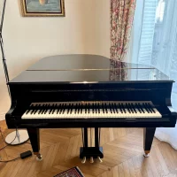 Används, Bösendorfer, 170