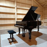 Usado, Steinway & Sons, C-227