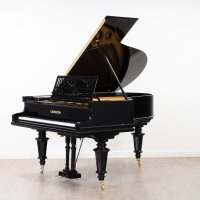 Używany, C. Bechstein, A1