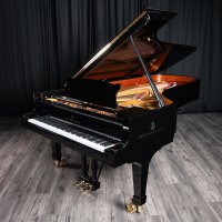 Neufs, Steinway & Sons, D-274