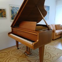 Used, Grotrian Steinweg, Chambre (165)