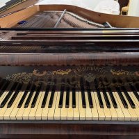 Gebruikte, Bosendorfer, 225