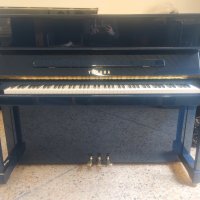 Used, Yamaha, P121