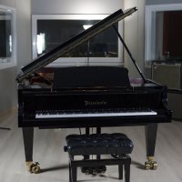 Gebruikte, Bosendorfer, 280VC