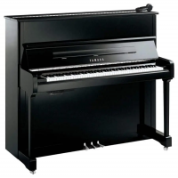 Nowy, Yamaha, P121 SH2