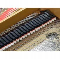 Gebruikte, Steinway & Sons, O-180