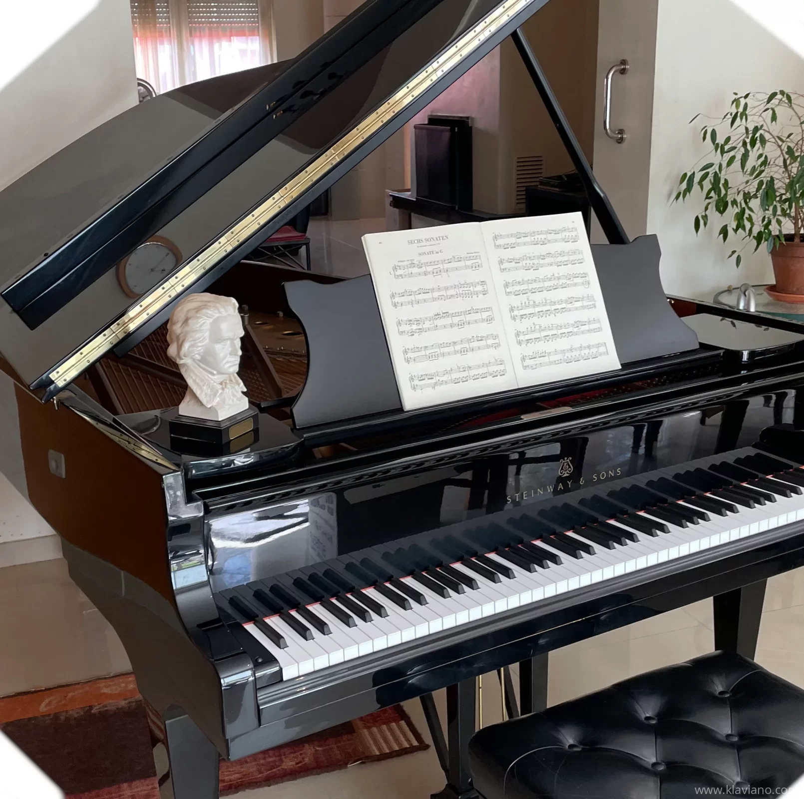 Używany, Steinway & Sons, B-211