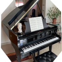 Używany, Steinway & Sons, B-211