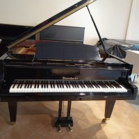 Used, Bosendorfer, 200