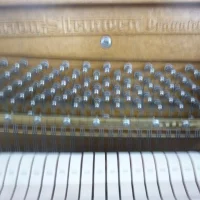 Usado, Grotrian Steinweg, Studio (110)