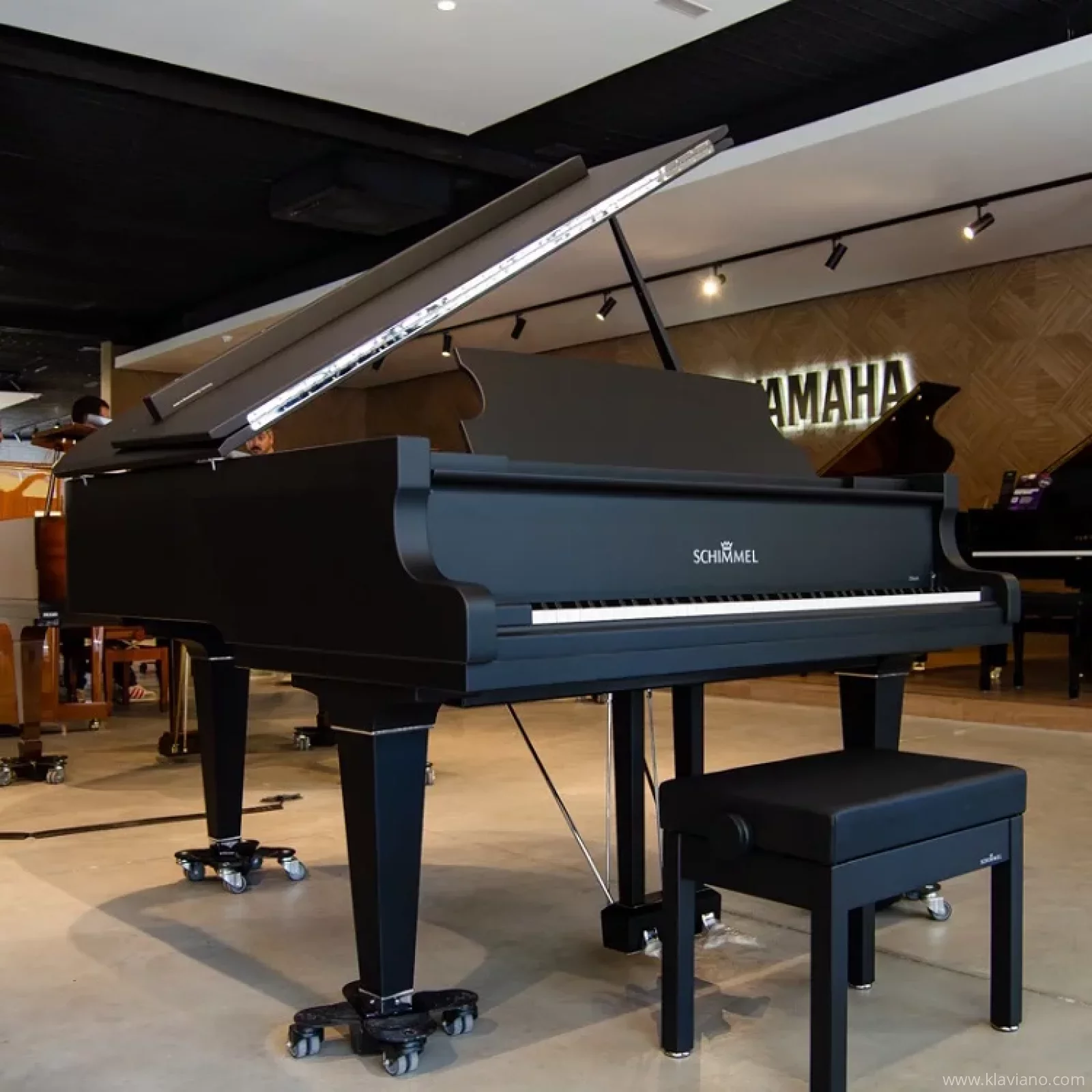 Schimmel C169 Black Pearl