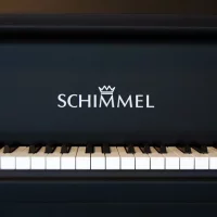 Schimmel C169 Black Pearl