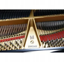 Används, Steinway & Sons, M-170