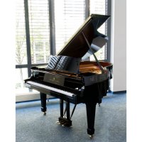 Används, Steinway & Sons, M-170