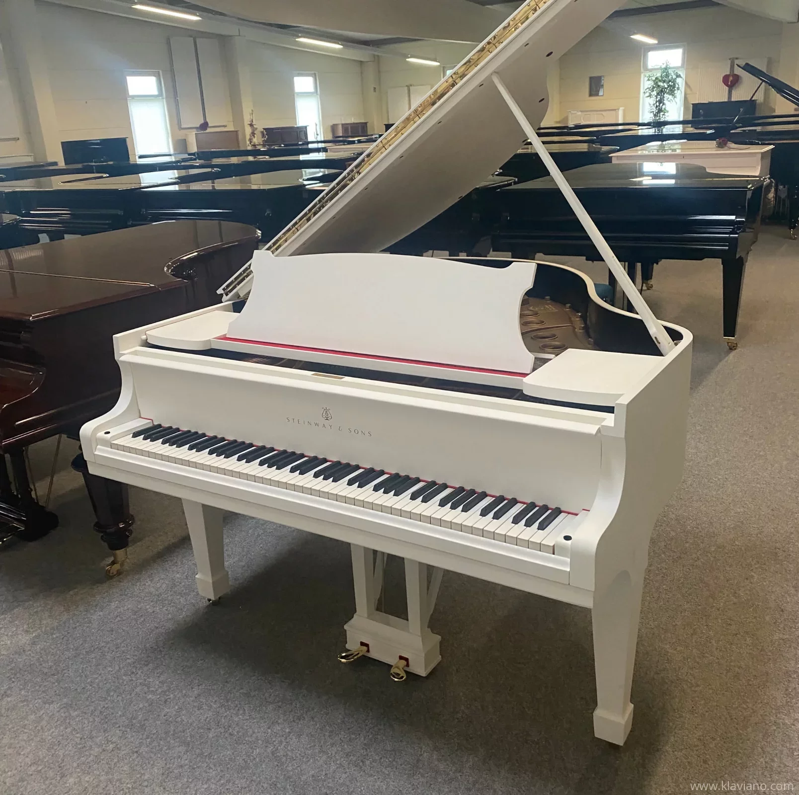 Used, Steinway & Sons, S-155