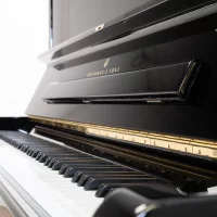 Usato, Steinway & Sons, K-132 (52)