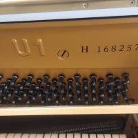 Gebruikte, Yamaha, U1H