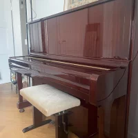 Gebruikte, Yamaha, U1A