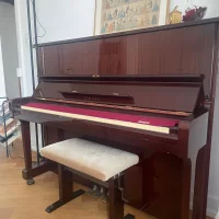 Gebruikte, Yamaha, U1A