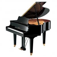 New, Yamaha, GB1 SC2