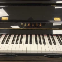Gebruikte, Yamaha, YU1