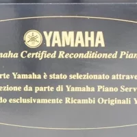 Używany, Yamaha, U3A