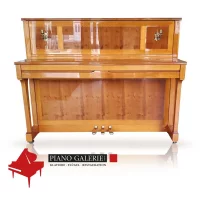 Gebraucht, Schimmel, W 118 Tradition