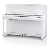 Nowy, Kawai, K-300