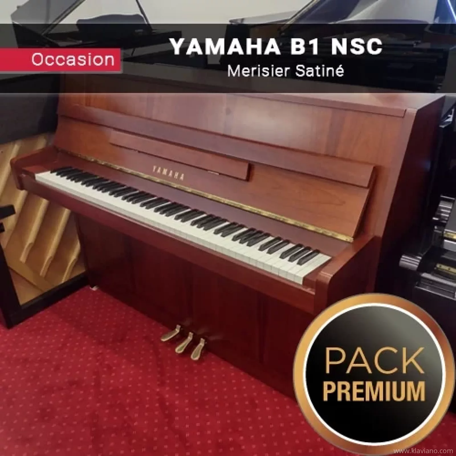 Occasion, Yamaha, b1