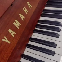 Używany, Yamaha, b1