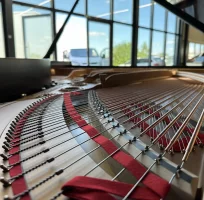 Gebruikte, Steinway & Sons, B-211