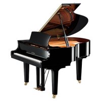 Nowy, Yamaha, C1X