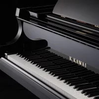 Nuovo, Shigeru Kawai, SK-5